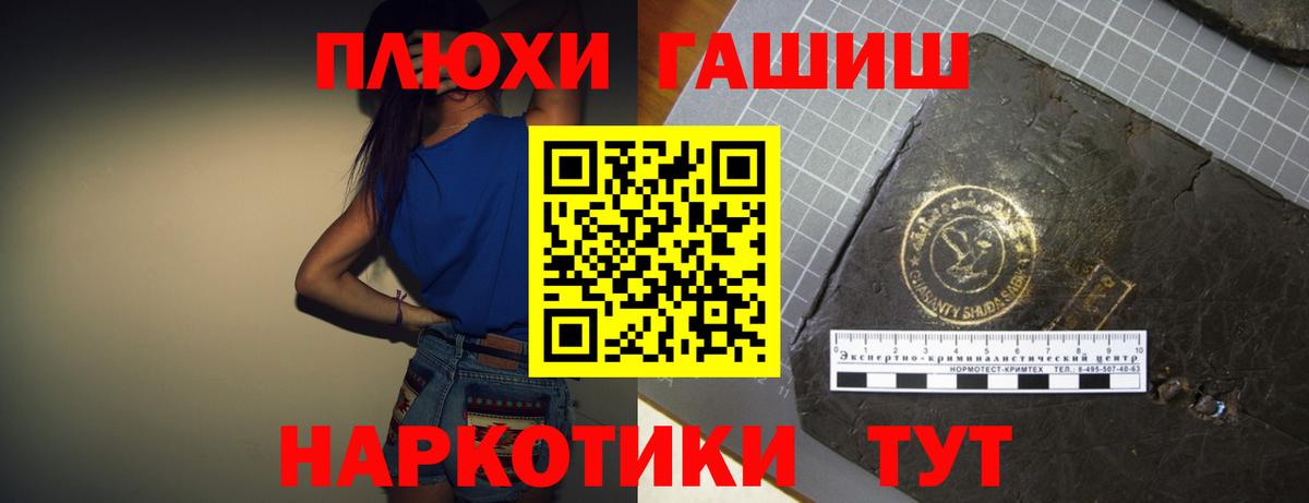 Славгород  ГАШ Premium  ГАШ  Вход с VPN  ГАШИШ Premium 