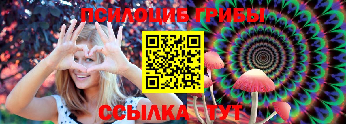 Славгород  Псилоцибиновые грибы Psilocybe  Вход с VPN 