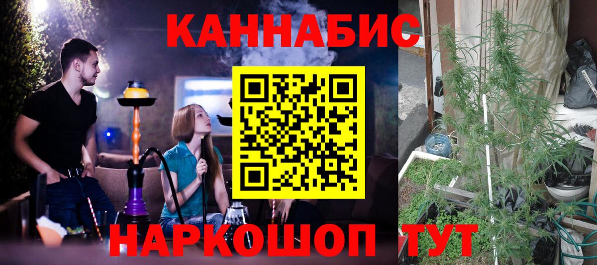 МАРИХУАНА планчик  Канабис тримм  Марихуана Bruce Banner  Вход с VPN  Конопля марихуана  Славгород 